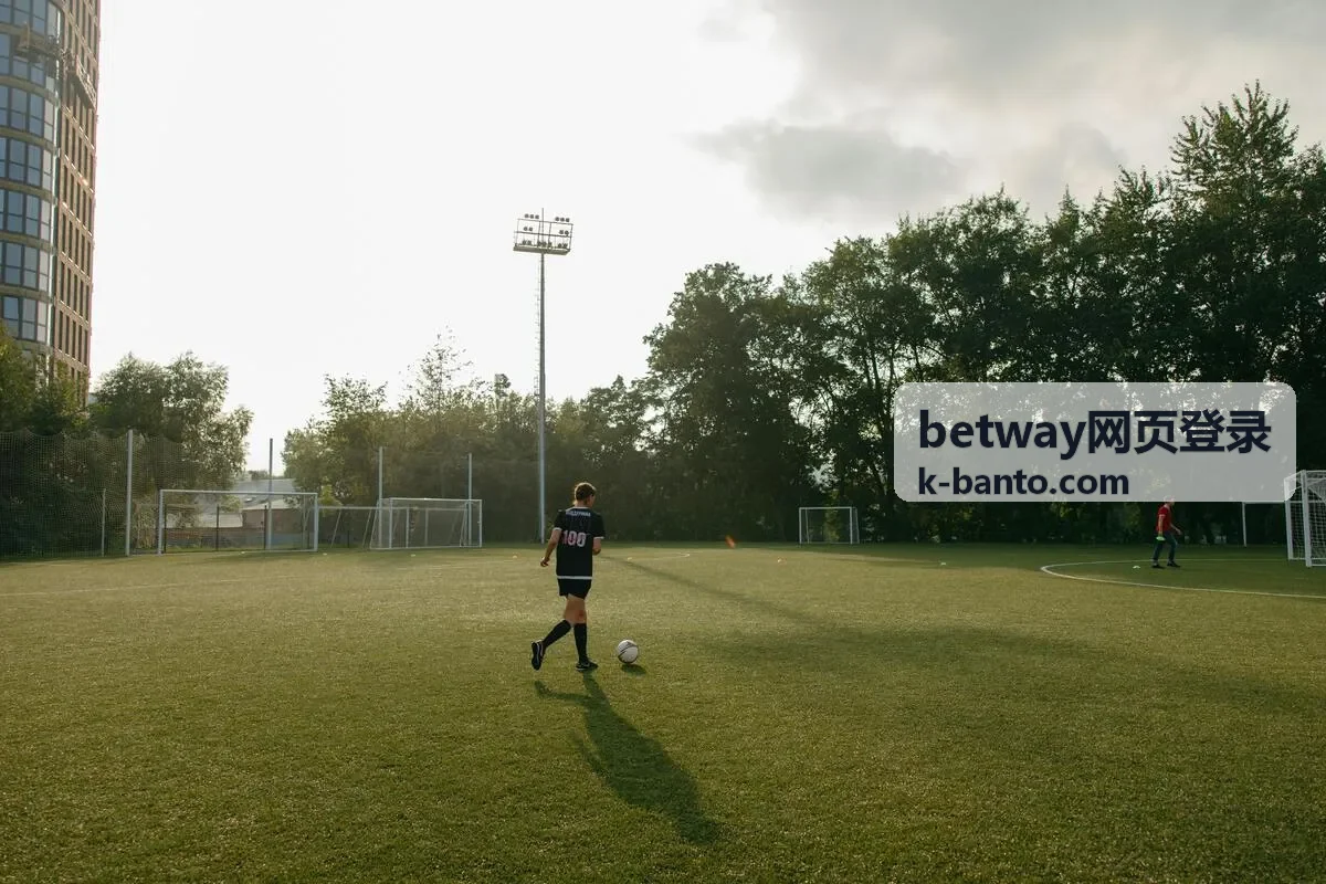 betway网页登录密码找回流程示意