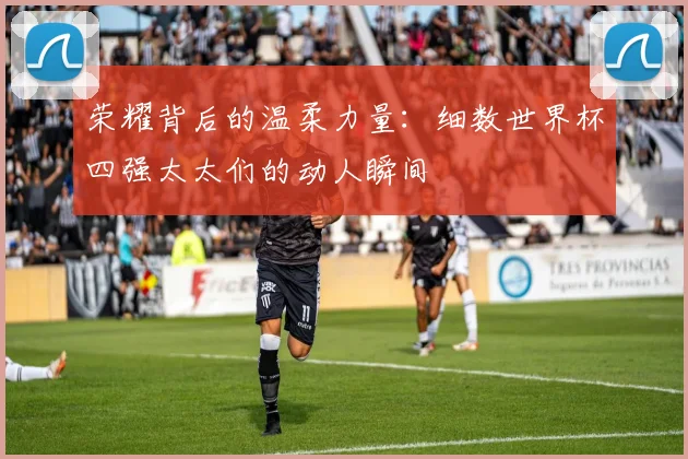 荣耀背后的温柔力量：细数世界杯四强太太们的动人瞬间