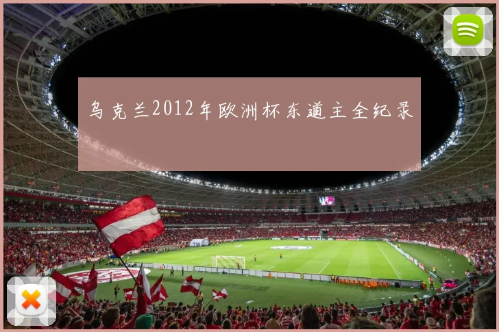 乌克兰2012年欧洲杯东道主全纪录