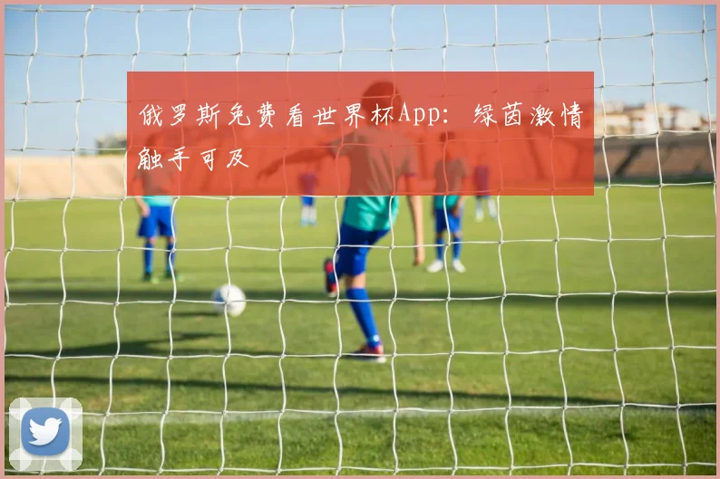 俄罗斯免费看世界杯App:绿茵激情触手可及