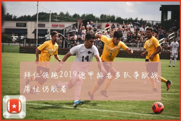 拜仁领跑2019德甲排名多队争欧战席位仍胶着