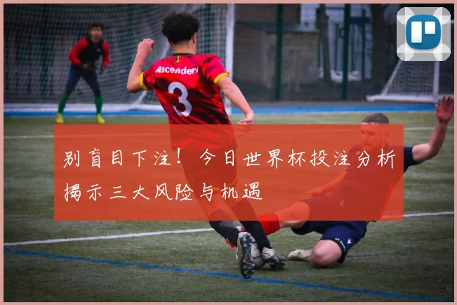 别盲目下注！今日世界杯投注分析揭示三大风险与机遇