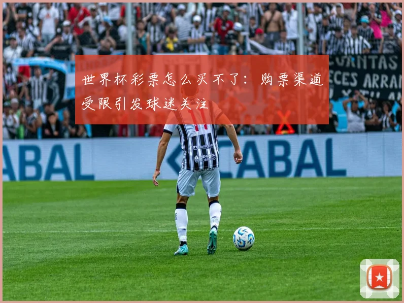 世界杯彩票怎么买不了：购票渠道受限引发球迷关注