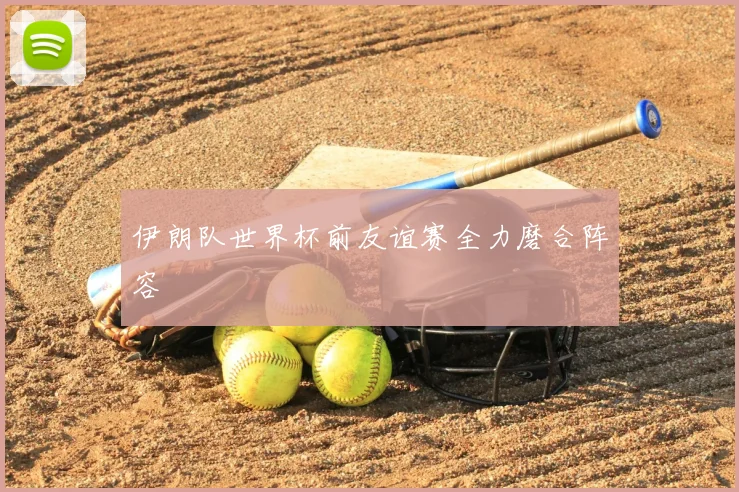伊朗队世界杯前友谊赛全力磨合阵容